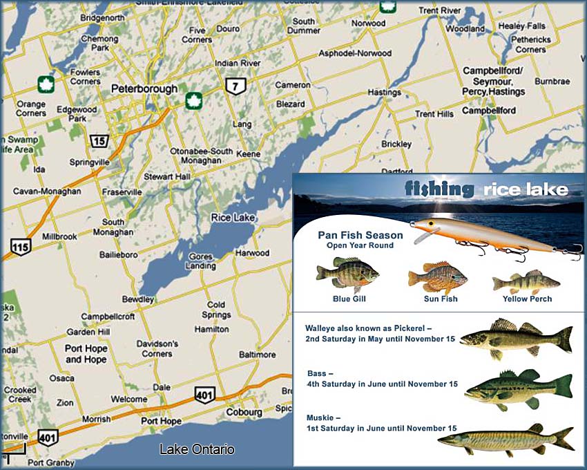 Rice Lake Fishing Information and Map